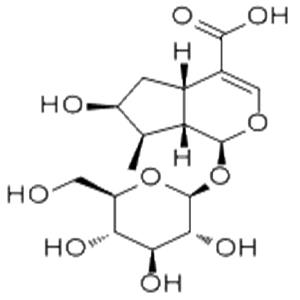 马钱苷酸,Loganic acid
