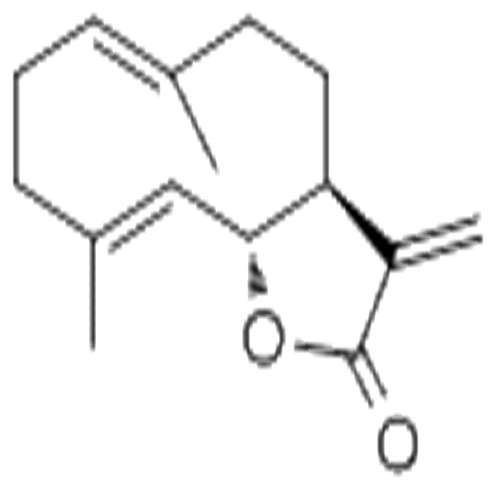 木香烴內(nèi)酯,Costundide