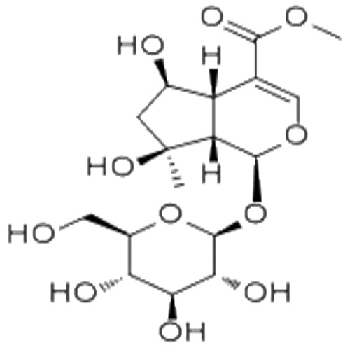 山栀苷甲酯,Dipsacoside B