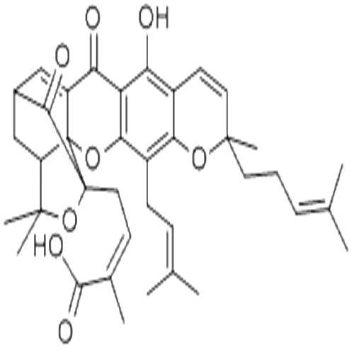 藤黄酸,Gambogic acid