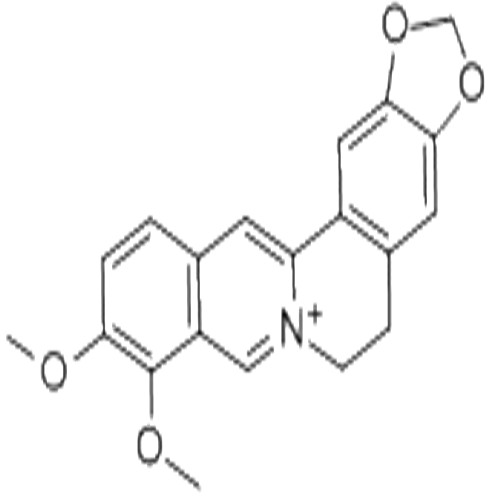 小檗堿,Berberine