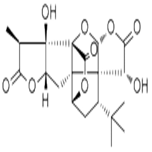 銀杏內(nèi)酯A,Ginkgolide A