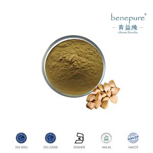 荞麦提取物,Buckwheat Extract