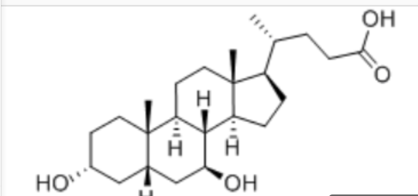 熊去氧胆酸,Ursodeoxycholic acid