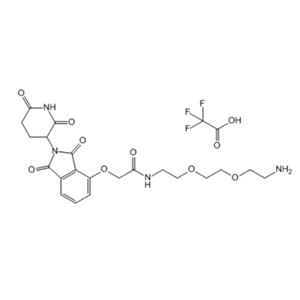 Thalidomide-O-amido-PEG2-NH2.TFA 1957235-75-4