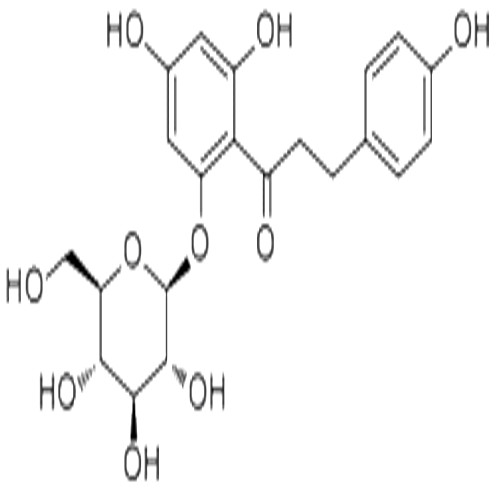 根皮苷,Phlorizin