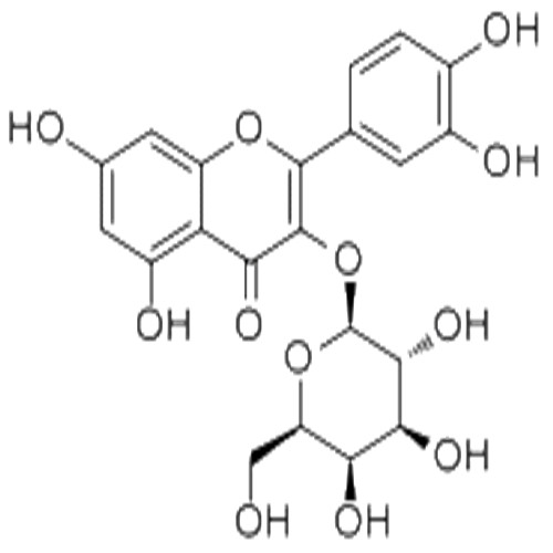 金絲桃苷,Hyperoside