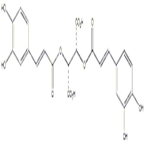 菊苣酸,Cichoric Acid