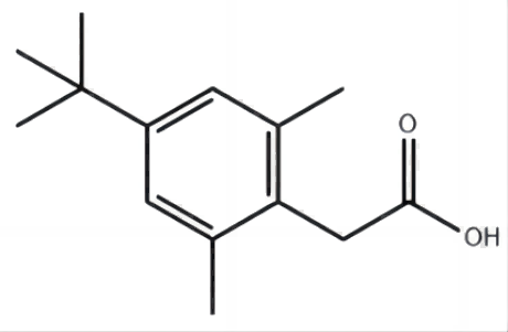 4-叔丁基-2,6-二甲基-ALPHA-甲苯甲酸,4-tert-Butyl-2,6-dimethyl-alpha-toluic acid