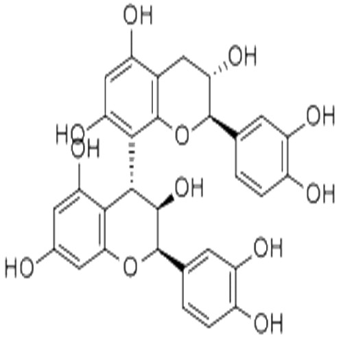 原花青素B1,Procyanidin B1