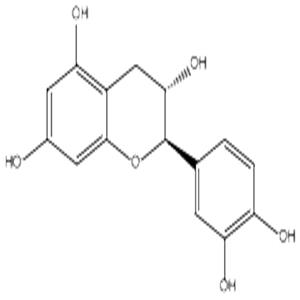 (+)儿茶素,(+)-Catechin hydrate
