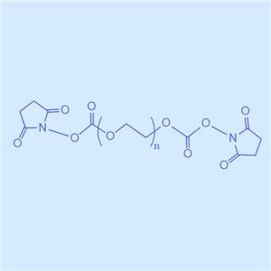 琥珀酰亚胺酯-聚乙二醇-琥珀酰亚胺酯