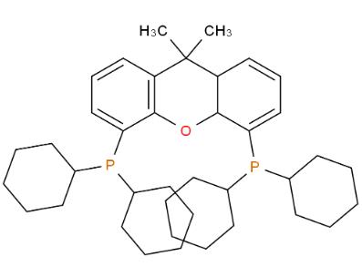 4,5-双(二环己基膦)-二苯并吡喃衍生物,4,5-Bis(dicyclohexylphosphino)-9,10a-dihydro- 9,9-dimethyl-8aH-xanthene