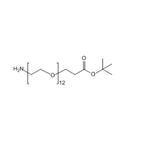 NH2-PEG-CH2CH2COOtBu 1383814-00-3 氨基十二聚乙二醇丙酸叔丁酯