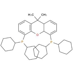 4,5-双(二环己基膦)-二苯并吡喃衍生物,4,5-Bis(dicyclohexylphosphino)-9,10a-dihydro- 9,9-dimethyl-8aH-xanthene