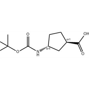 反式-3 - {[(叔丁氧基)羰基]氨基}环戊烷-1-羧酸,trans-3-Bocamino-cyclopentanecarboxylic acid