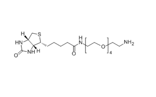 Biotin-PEG4-NH2