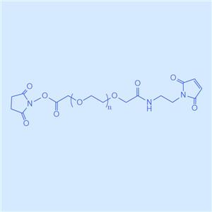 琥珀酰亚胺酯-聚乙二醇-马来酰亚胺