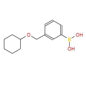 3-(Cyclohexyloxy)Methylphenylboronic acid,3-(Cyclohexyloxy)Methylphenylboronic acid