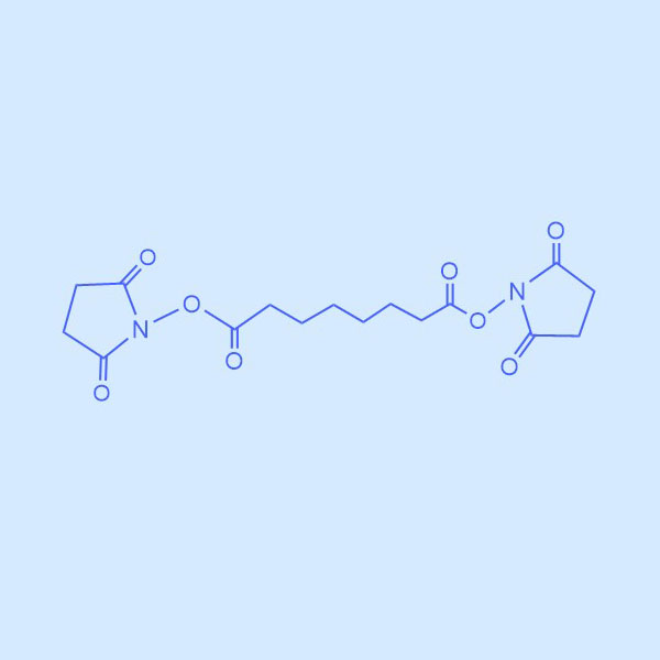 二(N-羟基琥珀酰亚胺)辛二酸酯,DSS Crosslinker