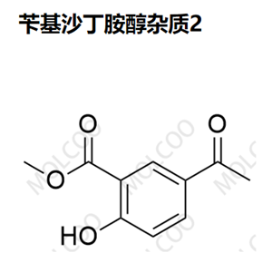 苄基沙丁胺醇杂质2 实验室现货