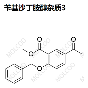 苄基沙丁胺醇杂质3 实验室现货