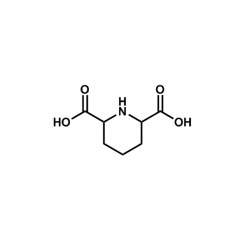 哌啶-2,6-二羧酸,Piperidine-2,6-dicarboxylic acid