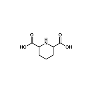 哌啶-2,6-二羧酸