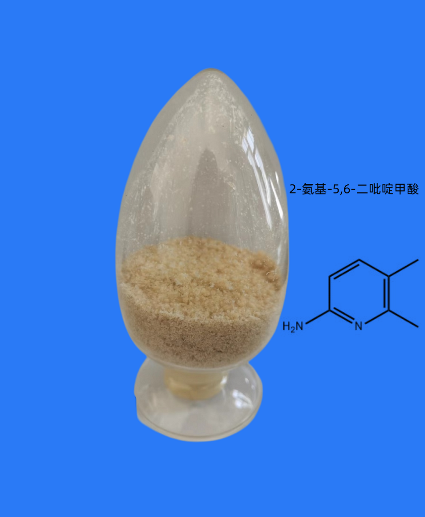 2-氨基-5,6-二甲基吡啶,2-Pyridinamine,5,6-dimethyl-