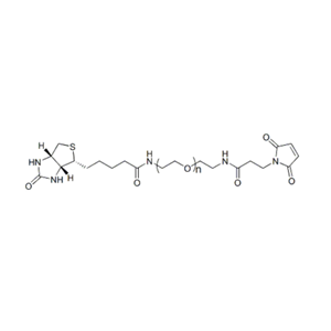 Biotin-PEG-Mal α-生物素-ω-马来酰亚胺基聚乙二醇