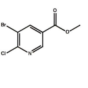 5-Bromo-6-chloro-nicotinic acid methyl ester