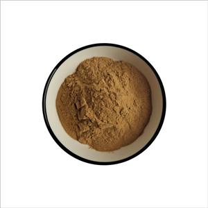 阿魏提取物,Ferula extract