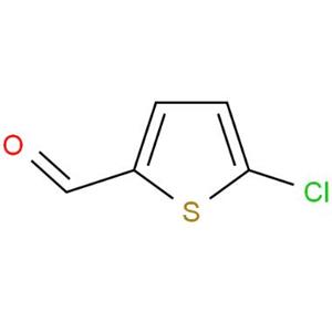 5-氯噻吩-2-甲醛,2-Chloro-5-thiophenecarboxaldehyde