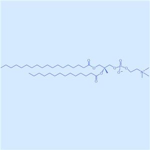 SMPC,1-硬脂酰-2-肉豆蔻酰基卵磷脂,20664-02-2