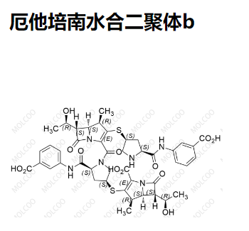 厄他培南水合二聚体b,Ertapenem Hydration Dimer b