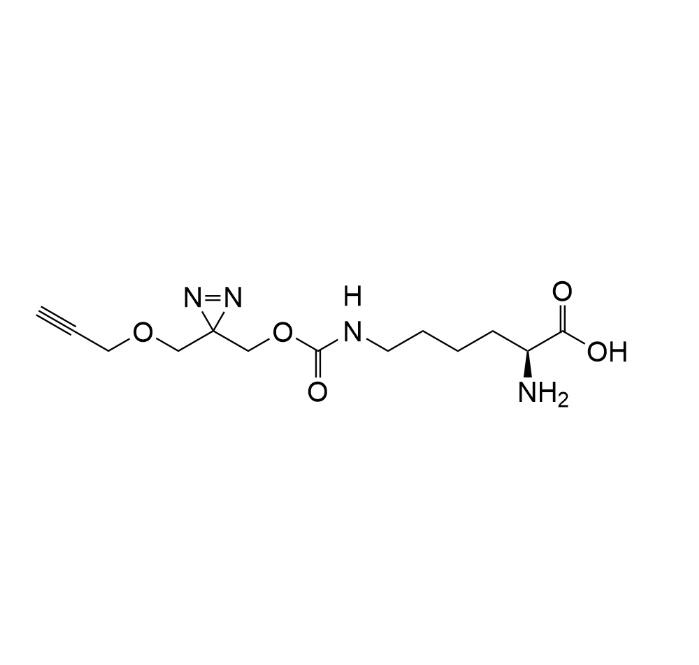bifunctional  Cross-Linking-Amino-Acid / PrDiAzK