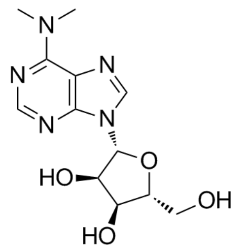 N6,N6-二甲基腺苷,N,N-Dimethyladenosine