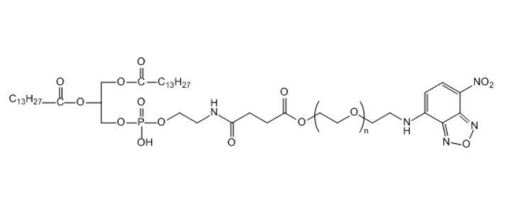 1,2-十四酰基磷脂酰乙醇胺-聚乙二醇-硝基苯恶二唑,DMPE-PEG-NBD