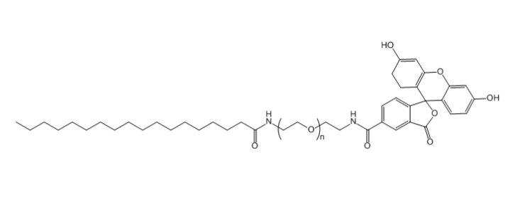 單硬脂酸-聚乙二醇-熒光素,STA-PEG-FITC