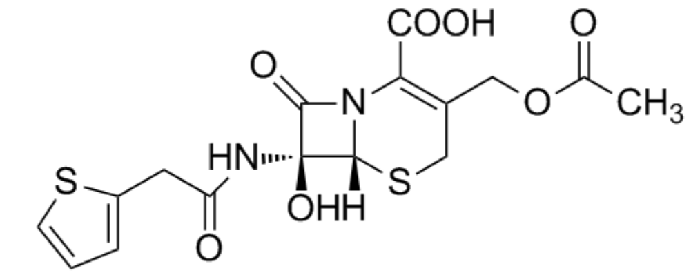 7-羥基頭孢噻吩,7-Hydroxycefothiophene