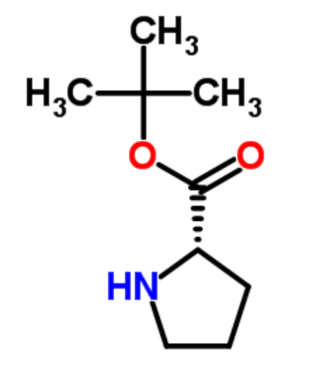 L-脯氨酸叔丁酯,H-Pro-OtBu
