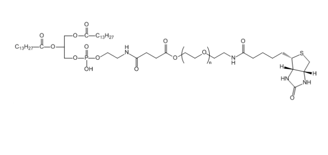 DMPE-聚乙二醇-生物素,DMPE-PEG-Biotin