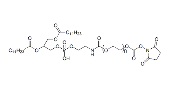 1,2-二月桂酰磷脂酰乙醇胺-聚乙二醇-活性酯,DLPE-PEG-SC