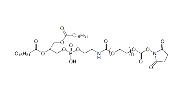 二棕櫚酰磷酯酰乙醇胺-聚乙二醇-活性酯,DPPE-PEG-SC