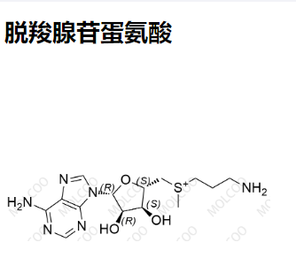 脱羧腺苷蛋氨酸,Decarboxylated adenosine methionine