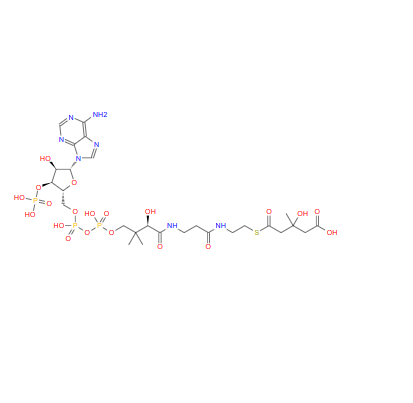 S-(氢3-羟基-3-甲基戊二酰基)辅酶A,S-(hydrogen 3-hydroxy-3-methylglutaryl)coenzyme A