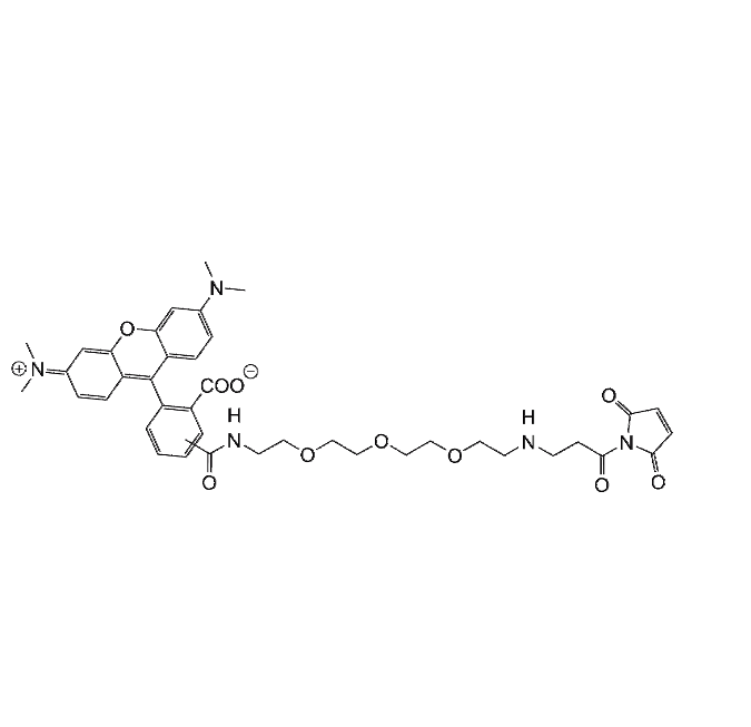 TAMRA-PEG3-Maleimide SC-8704