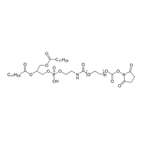 DLPE-PEG-SC 1,2-二月桂酰磷脂酰乙醇胺-聚乙二醇-活性酯