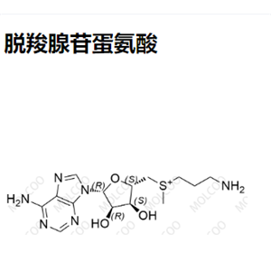 脱羧腺苷蛋氨酸,Decarboxylated adenosine methionine