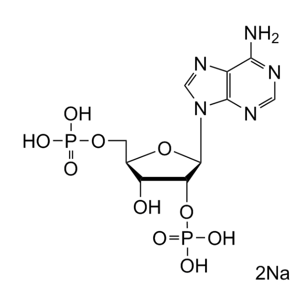 2'-PAP-Na